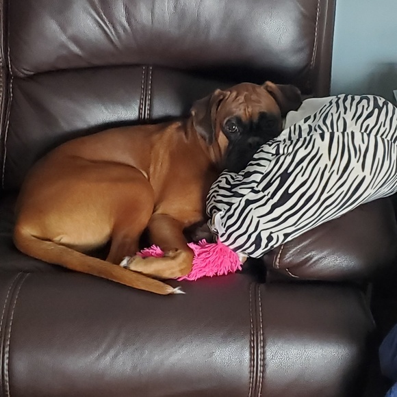 Meet your Posher, C - Picture 1 of 1